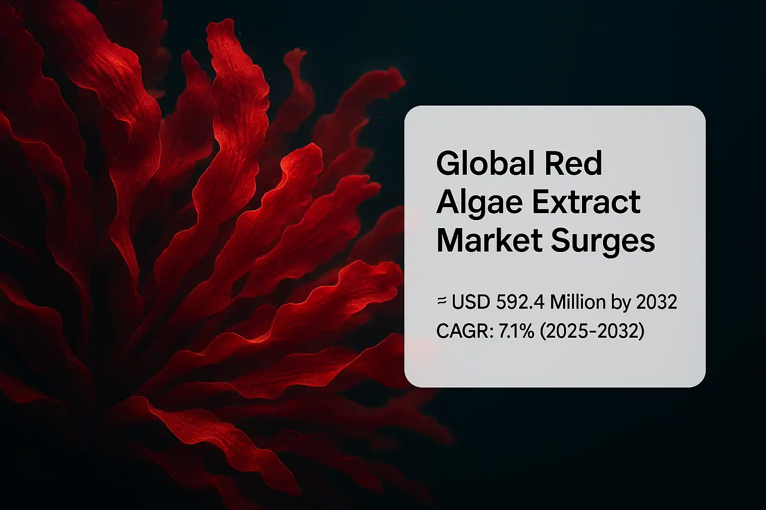 Global red algae extract market 24chemicalresearch