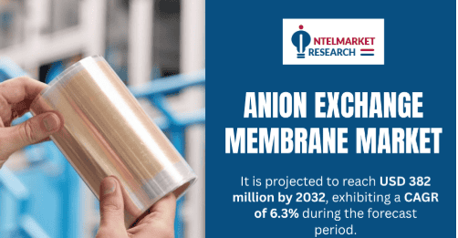 Anion Exchange Membrane Market