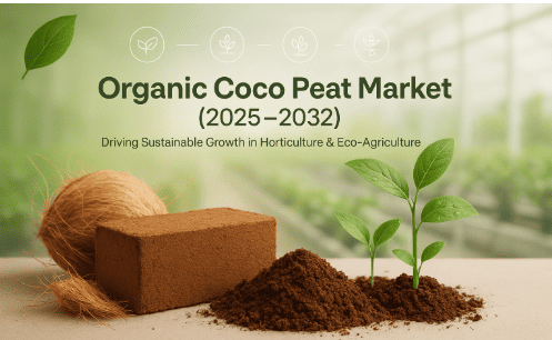 Organic Coco Peat Market
