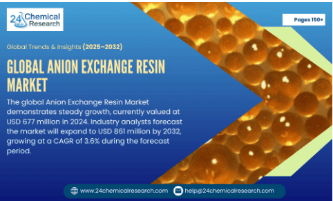 Anion Exchange Resin Market