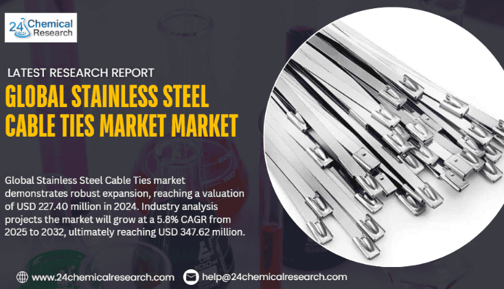 Global Stainless Steel Cable Ties market