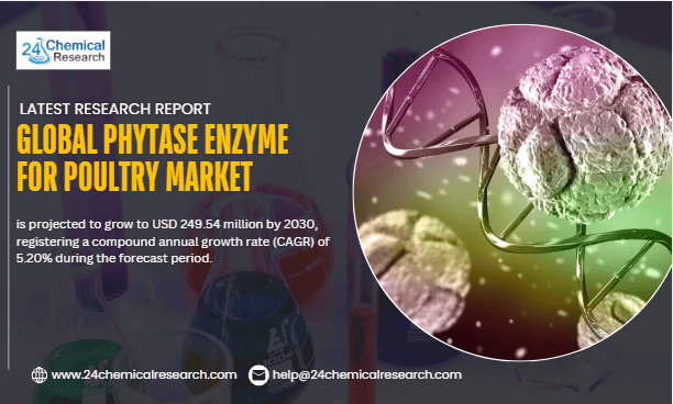 Screenshot 2025 11 28