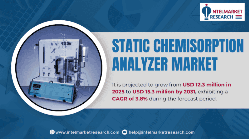 Static Chemisorption Analyzer Market